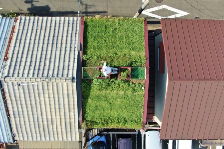 屋根緑化は「もう一つの庭」。データと実例で知る断熱効果と本当の楽しみ方 | 環境共生・エコ