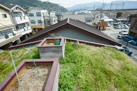 草屋根の家 | 屋根の上の庭と、呼吸する暮らし。 | 環境共生・エコ