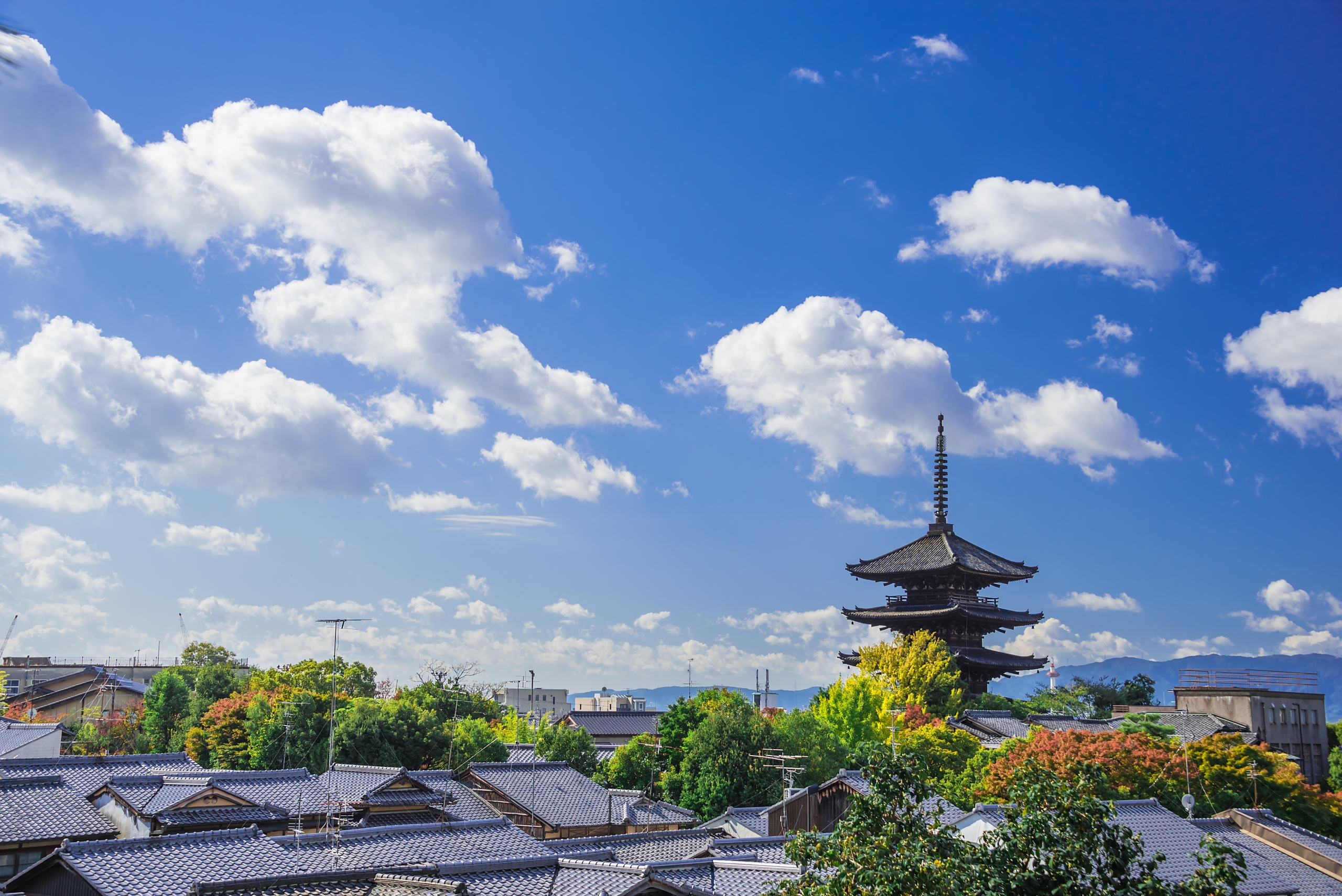 秋晴れの澄み渡る青空の下、京都・東山の歴史的な町並みを見渡す絶景。手前には伝統的な瓦屋根が幾重にも連なり、その奥には緑と少し色づき始めた木々の間から、ランドマークである法観寺の五重塔（八坂の塔）が堂々とそびえ立っている。